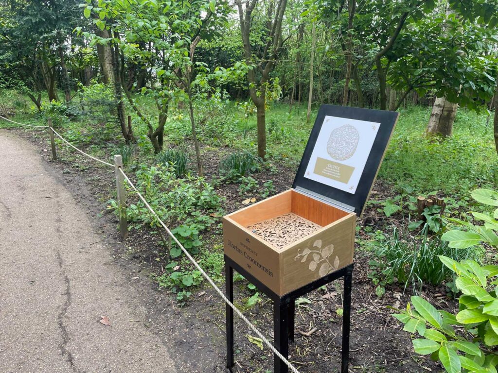 Pages from Nature, Croome Court