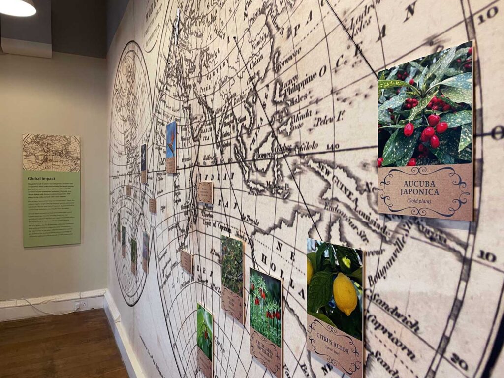 Pages from Nature, Croome Court